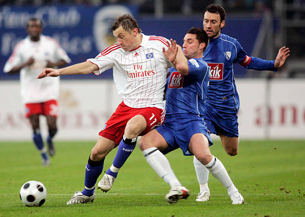 们不仅拥有 们不仅拥有